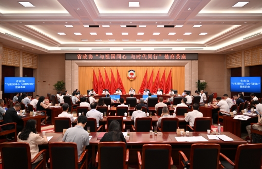 与祖国同心 与时代同行｜王新城董事长参加省政协“楚商茶座”并作交流发言
