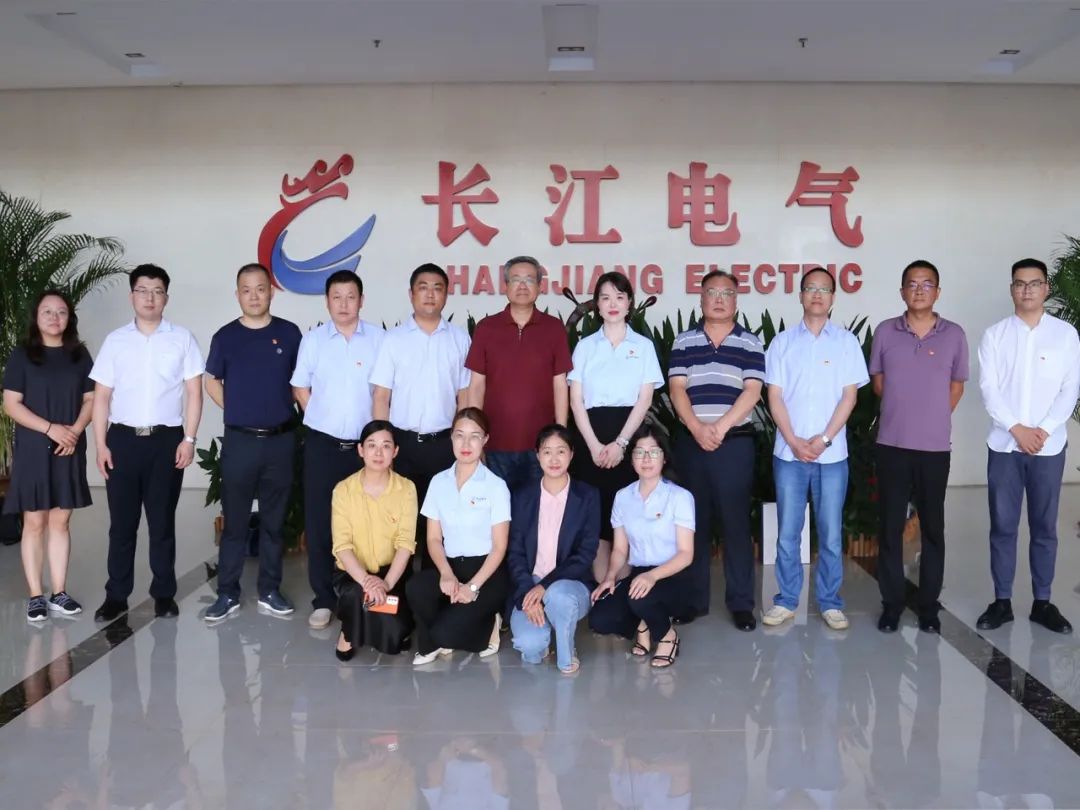 湖北交投建设集团与长江电气开展党建联建活动